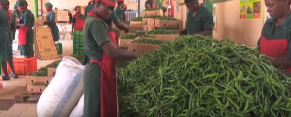 Will Uganda Finally Get An Export Promotion Fund?