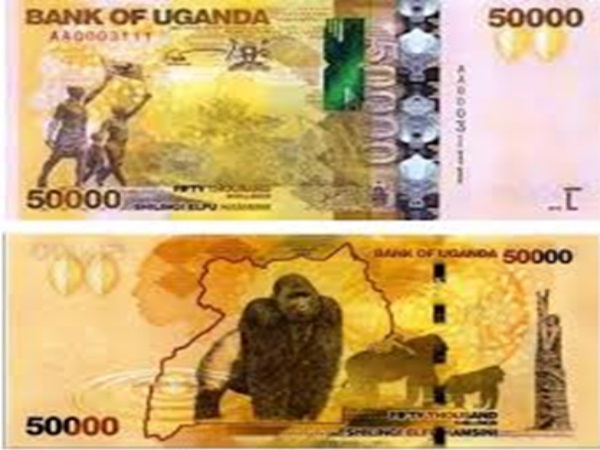Credit Demand Rises - Central Bank