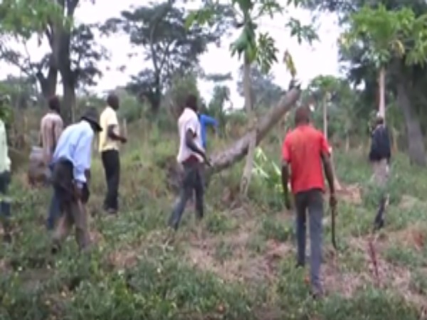 Encroachers Evicted From River Katonga Wetland