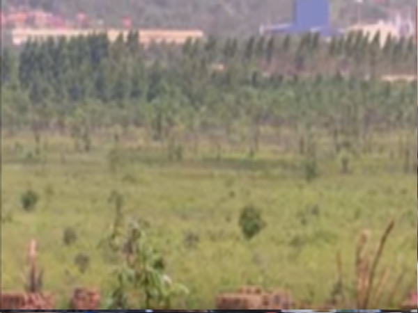Experts Question Intentions Of Proposed Law On Compulsory Land Acquisition