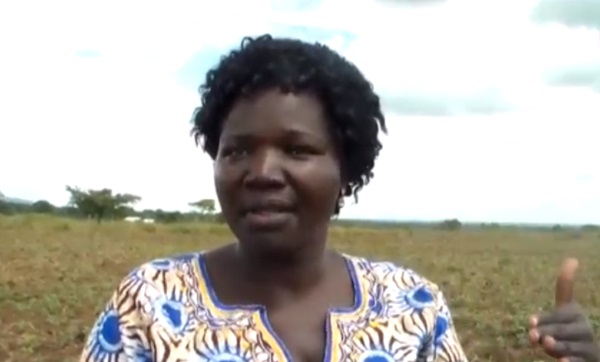 Farmers Urged on Inter-cropping
