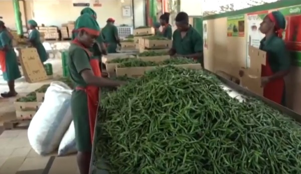 Global Demand For Hot Pepper Edges Up