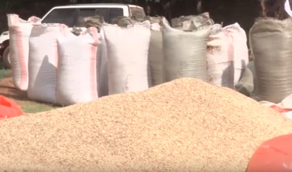 Low Produce Affecting Agricultural Exports