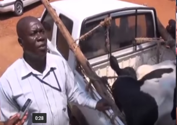 Ofwono Opondo Returns Operation Wealth Creation Cow