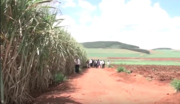 Review Industrialization Policy – Farmers