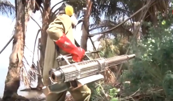 Tsetse Flies Infest Busoga