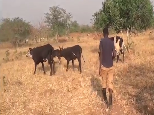 Water Harvest Can Build Community Resilience
